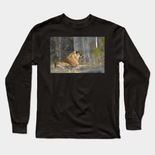 Big Cat Hybrid Long Sleeve T-Shirt